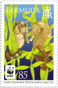 Bermuda stamp