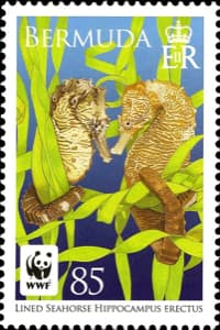 Bermuda stamp