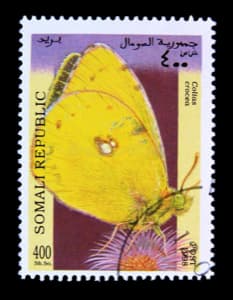 Somali Republic stamp