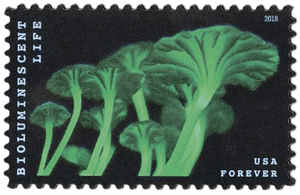 USA stamp