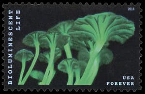 USA stamp