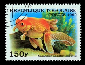 Togo stamp