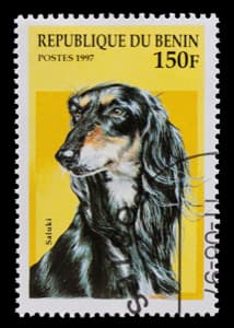 Bénin stamp