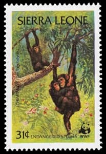 Sierra Leone stamp