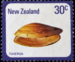 New Zealand stamp