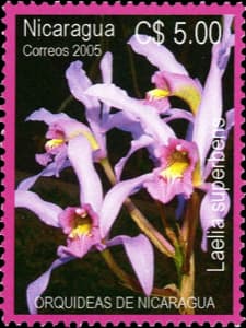 Nicaragua stamp
