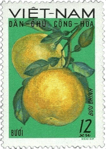 Vietnam stamp