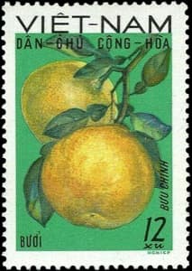Vietnam stamp